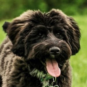 Meet your Posher, Kari